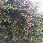 Pousada Sibeus